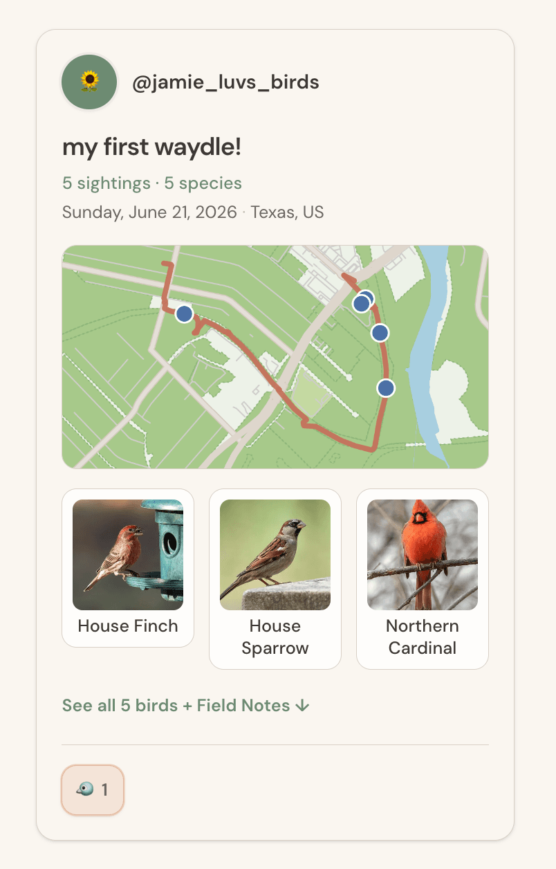 Example Waydle post showing a birding session